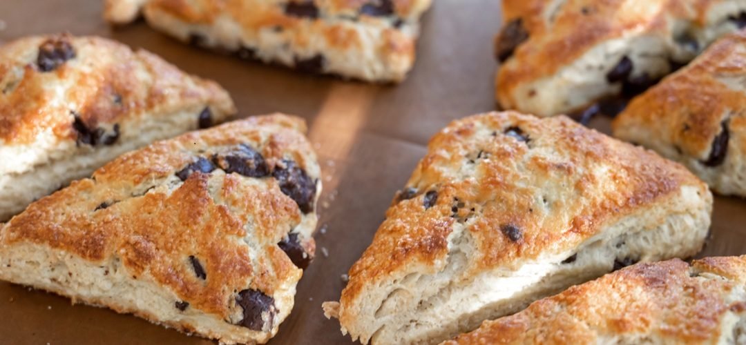 Chocolate Chip Maple Scone Recipe from Becky Doughty and Willow Goodhope
